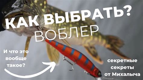 Как выбрать лучший приус: