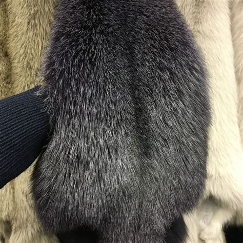 Как добыть мех песца