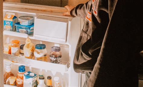 Как долго продержится холодильник, изготовленный из определенного пластика