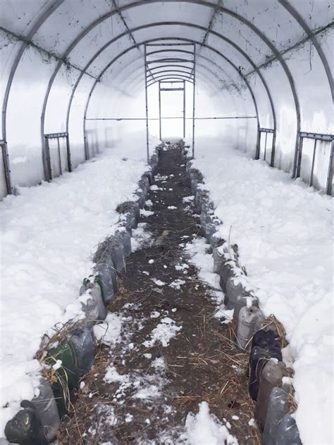 Как использовать productive bees для повышения урожайности