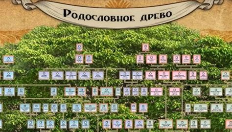 Как исследовать свою родословную с фамилией Мажухин