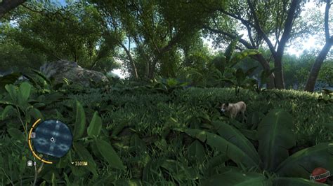 Как найти голубой лист в Far Cry 3: основные способы