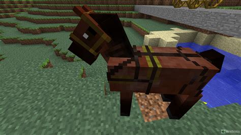 Как найти потерянную лошадь в Майнкрафте: подробные инструкции