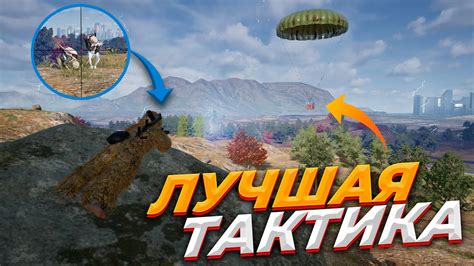 Как переиграть Дасквуд