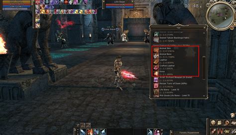 Как попасть к близнецам в Lineage 2 ХФ: советы и рекомендации