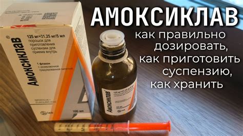 Как правильно дозировать антибиотик для хомяка