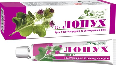 Как правильно подготовить коленку перед прикладыванием лопуха