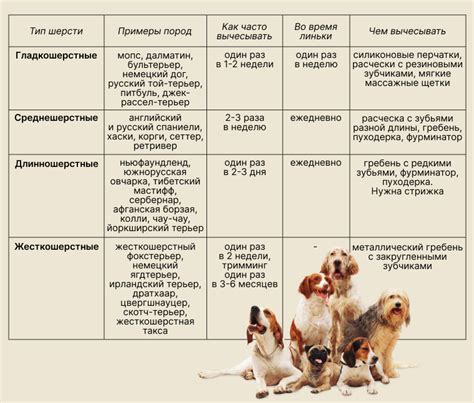 Как правильно собирать информацию