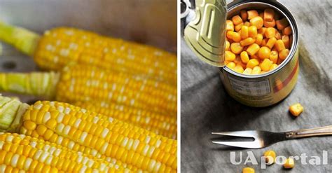Как правильно хранить и определить срок годности консервированной кукурузы