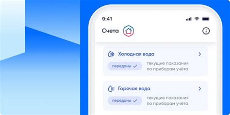 Как привлечь паука в дом и зачем это нужно