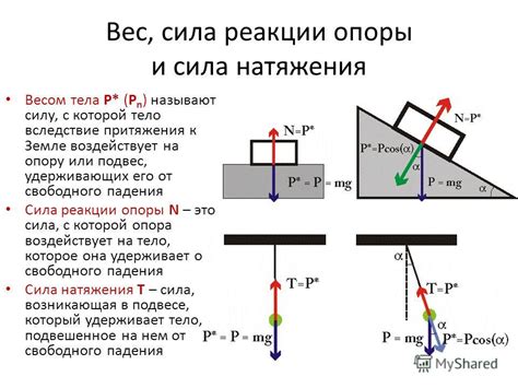 Как разобраться в тактиках гюрзы