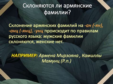 Как склонять фамилию Машир
