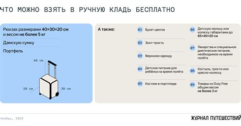 Категории предметов, которые можно провозить бесплатно в метро