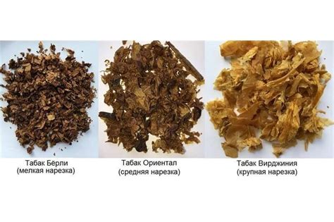 Качественное табачное сырье