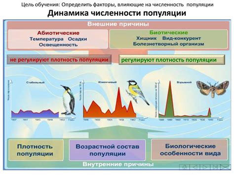 Климатические и экологические факторы влияют на рост кавказцев