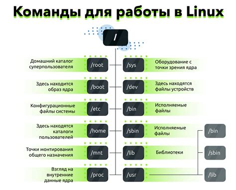 Команды для использования в консоли