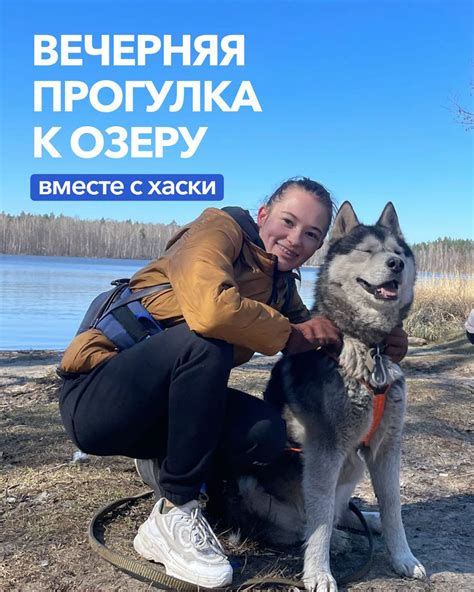 Комфортная прогулка для хаски