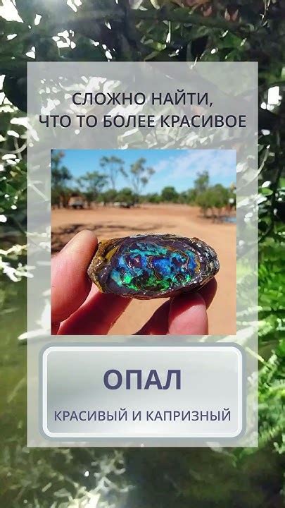 Красота безграничности: уникальность и таинственность небес