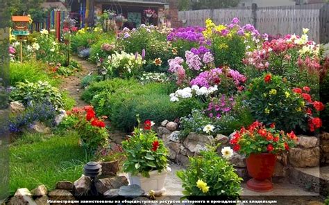 Красота и гармония на клумбе