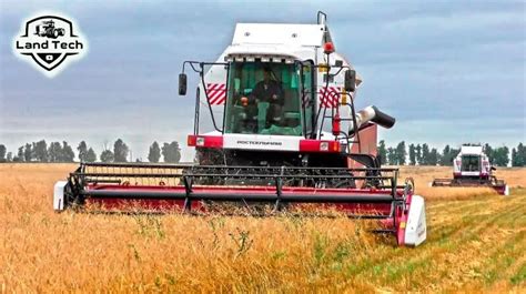 Легионер-лучник – лучший комбайн в бою