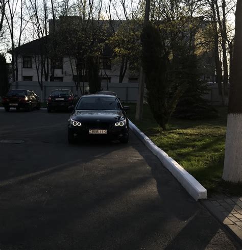 Мифы о скорости полета чаек