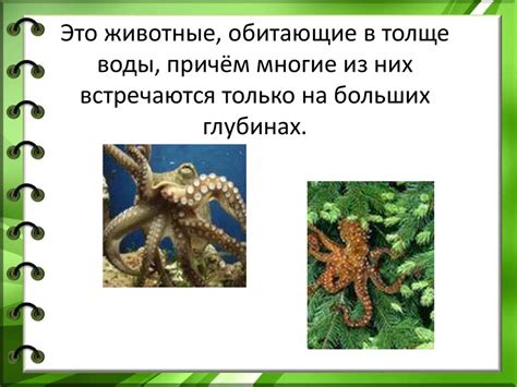 Наиболее известные представители с фамилией Пожиток