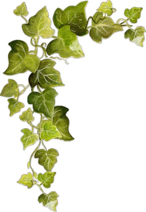 Не стесняйтесь использовать жестокость