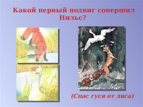 Нильс и его первый подвиг