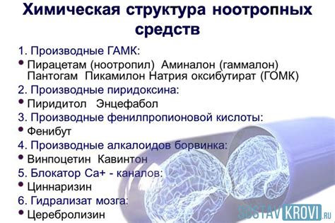 Ноотропные препараты - лекарства, улучшающие мозговую функцию