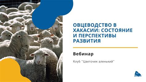 Овцеводство: перспективы развития и прибыльность