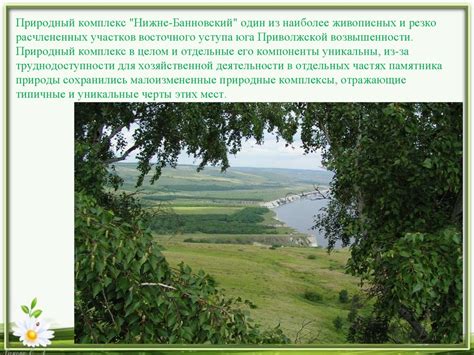 Один из наиболее ценных участков
