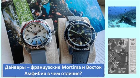 Опасности и последствия для неопытных дайверов