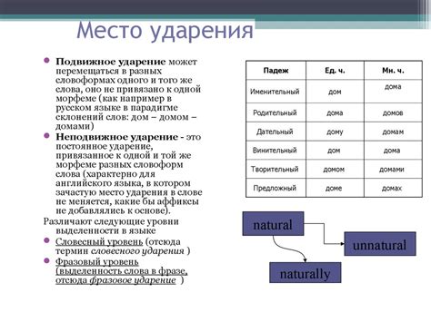 Определение ударения в слове "Сетунь"