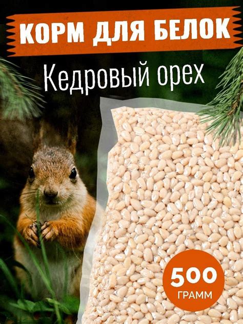 Орехи как добыча для других животных