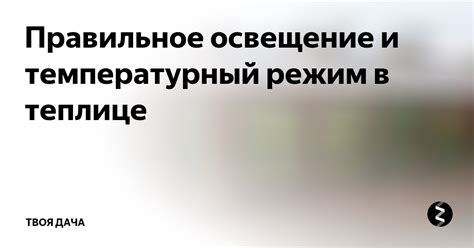 Освещение и температурный режим