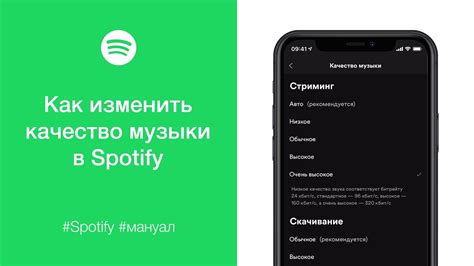 Основное качество звука в Spotify Premium