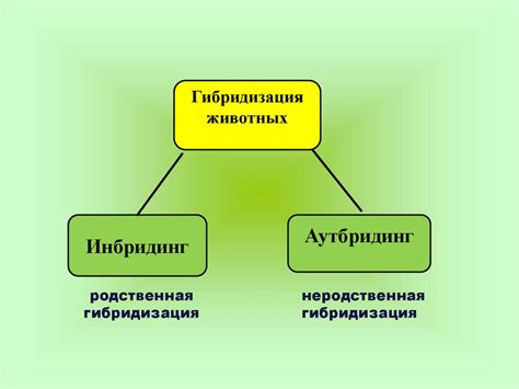 Основные способы улучшения