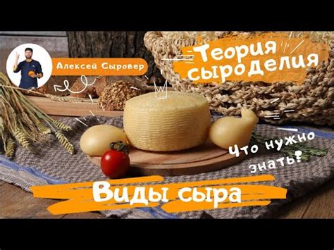 Особенности каждого вида сыра: