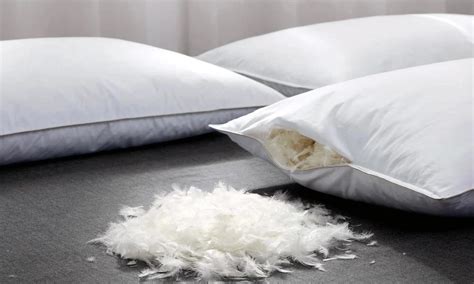 Особенности лебяжьего пуха