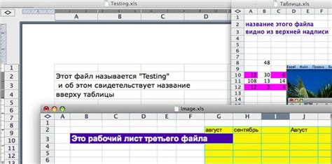 Открытие Diablo 2 в двух окнах: решение проблемы