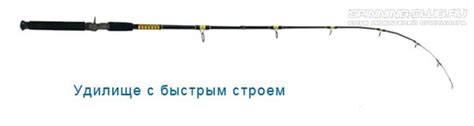 Отличительные особенности спиннинга медиум фаст