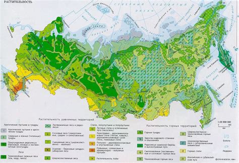 От кемеровских лесов до названия городка