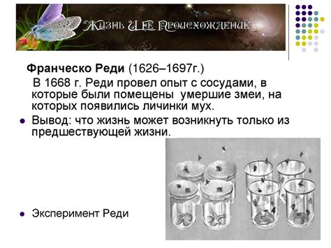 О происхождении Курсуа