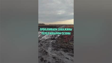 Перед началом прокачиваем навыки