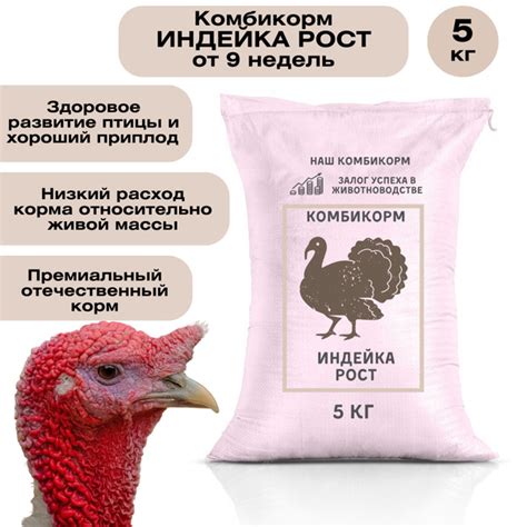 Питание для юных индюков