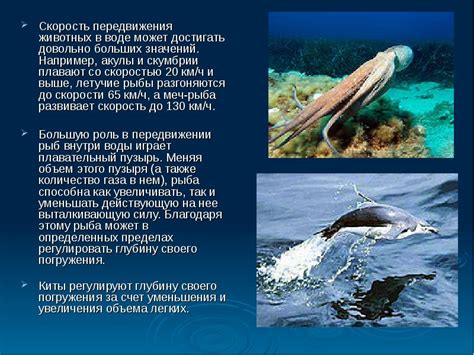 Питон: скорость передвижения