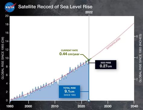 Повышение уровня магазина