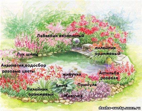 Подбираем дерево для посадки у пруда