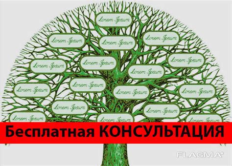 Поиск корней фамилии Матарас