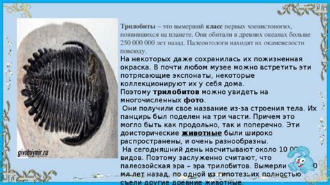 Поиск обломков: основные аспекты
